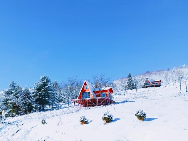吉林絕美小眾賞雪地：在這個冬天誤入仙境