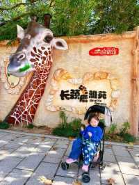 上海野生動物園一日遊超詳細攻略，碼
