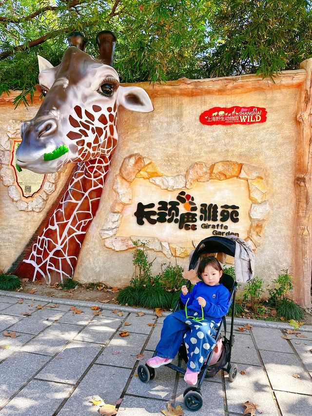 上海野生動物園一日遊超詳細攻略，碼