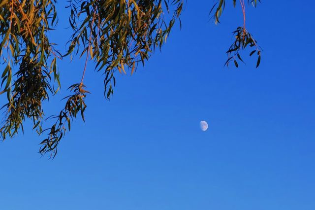 環全國系列22 長春 南湖公園