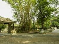 世界最大的藥用植物園!原來就在廣西!