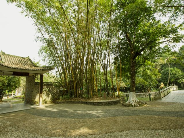 世界最大的藥用植物園!原來就在廣西!