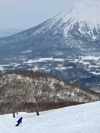 粉雪天堂比羅夫滑雪場