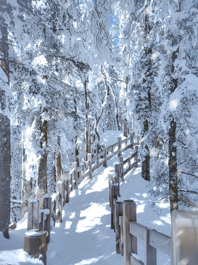 不是哈爾濱去不起，西嶺雪山玩雪更有性價比