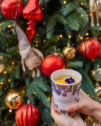 인천의 숨은 보석, 크리스마스의 꽃 피는 로즈스텔라정원 🎄