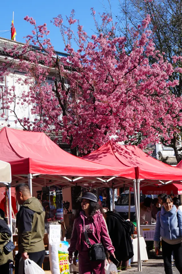 大理古城｜不能錯過的本地集市