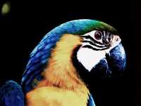 杭州野生動物世界，你去過嗎？