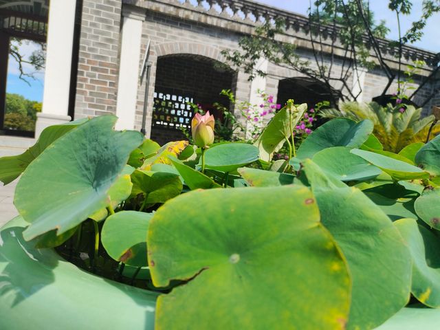 一人旅行|來走走湘江三大洲之一東洲 島 逛完衡陽鐵路博物館、保衛裡、安居裡後 下一個打卡地，衡陽