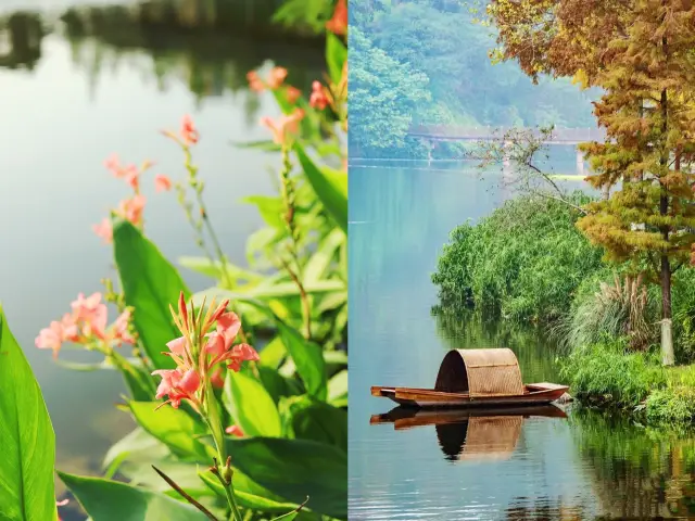 重慶小江南‖彩雲湖濕地公園