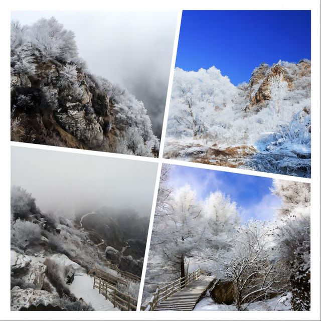 白石山霧凇盛景：冬日裡的冰雪仙境