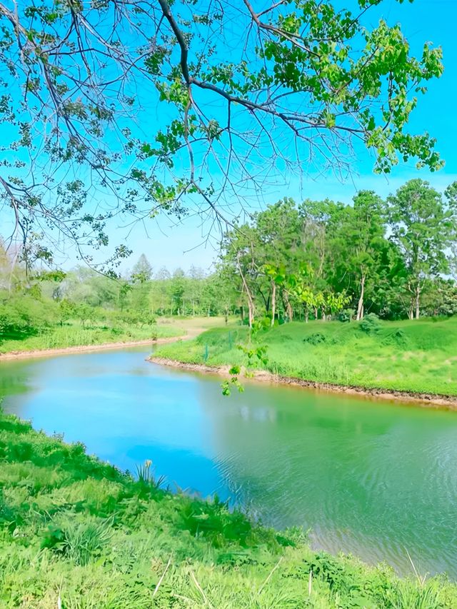 探索自然奇觀，暢遊江蘇三台山國家森林公園