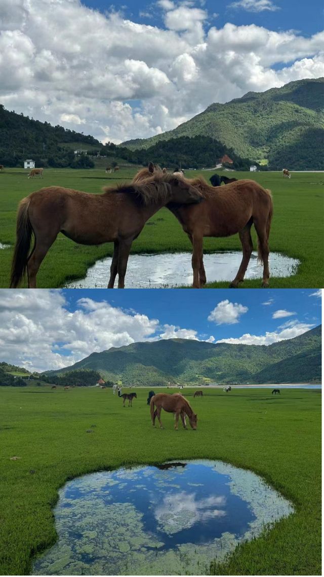 文海|治療又小眾，這才是跋山涉水的理由嘛