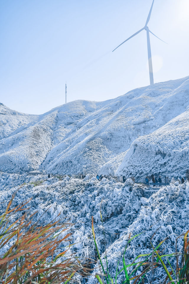 廣州周邊看雪聖地，雲端賞冰雪霧凇奇觀