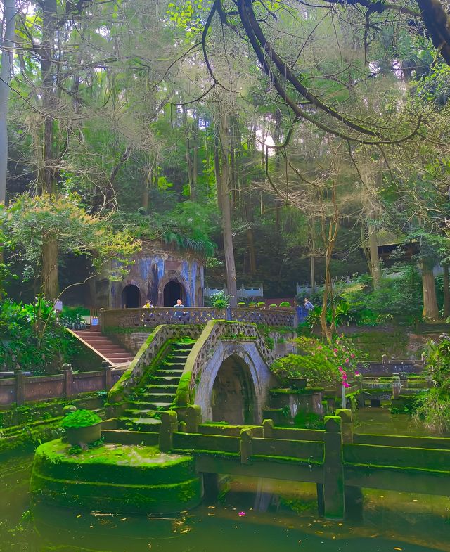 雨城雅安|爬天梯、遊古寺，一起森呼吸