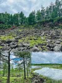 阿爾山森林國家公園的正確打開方式