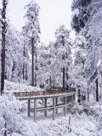 冬日必去瓦屋山現實版雪國童話世界