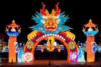 金沙灘啤酒城新春燈會“龍”重登場