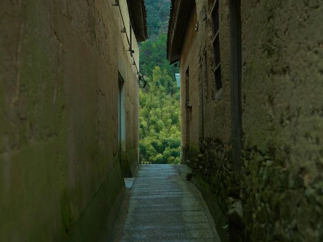 仙氣滿滿，遠處的梯田綠水青山絕對不能錯過