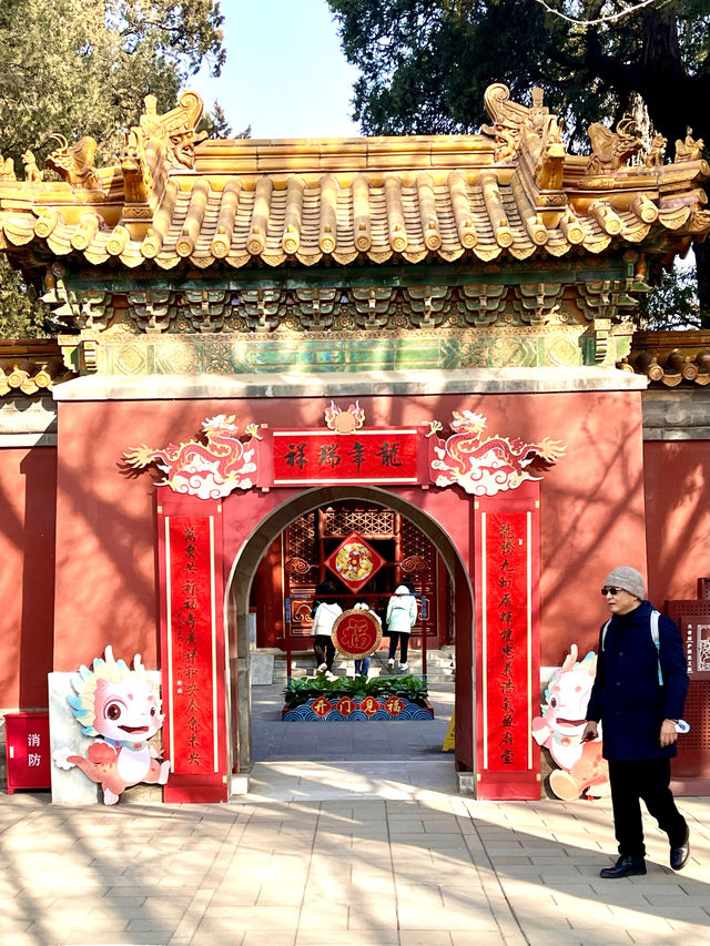 紅紅火火 春色啟龍年 景山公園 北京