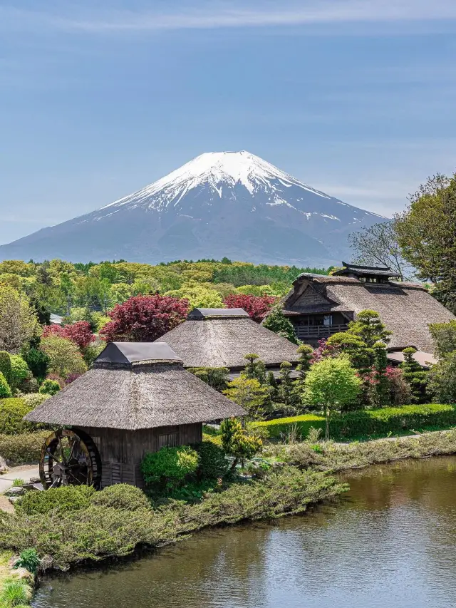 東京·富士山賞櫻一日遊