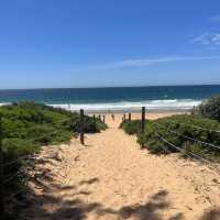 A Hidden Gem in Sydney 🏝️