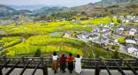 徜徉月河川道，賞清代鳳堰古梯田油菜花海