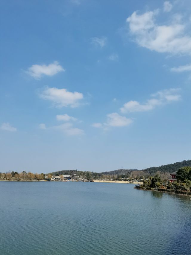 南京空氣好，景色好！銀杏湖如畫春天