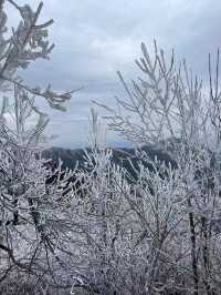 衡山大雪｜來賞霧凇冰雪森林