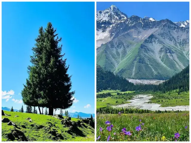 Travel to Xinjiang in the summer, and go see the godly mountains and wilds!|