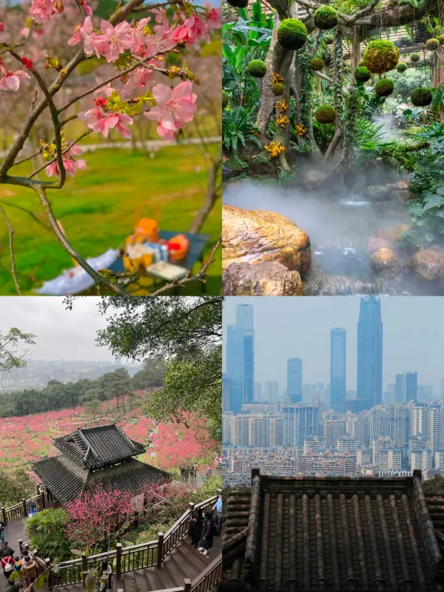 Qingxiu Mountain | The most worthwhile ten yuan spent on flowers in Guangxi