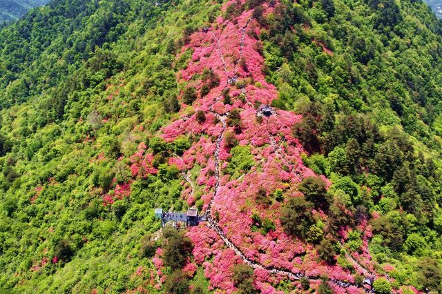 麻城龜峰山