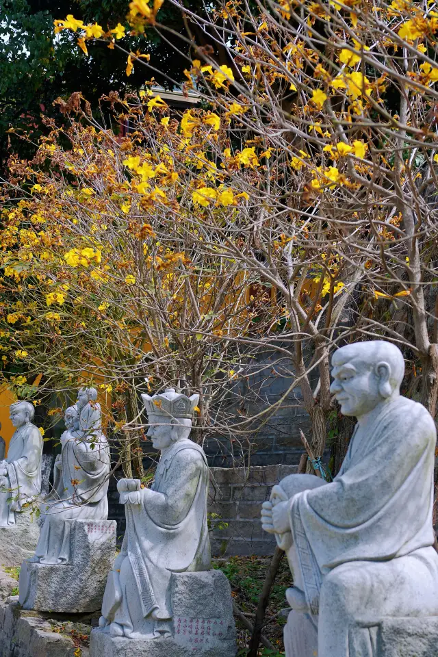 The temple in spring is so beautiful