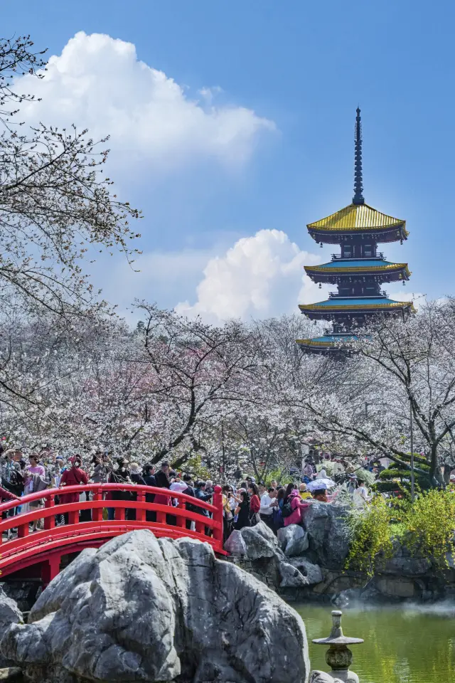 次の東湖桜園は、国内のロマンチックな旅行の天井と言えるでしょう