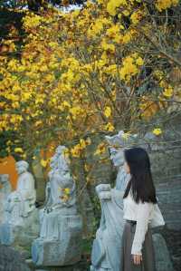 春和景明不僅是禪意遇見寧靜角落 廈門石室禪院