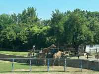 西安秦嶺野生動物園一日遊攻略