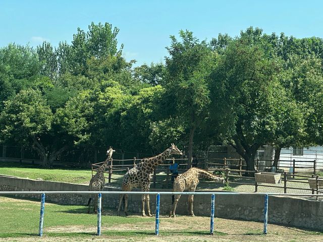 西安秦嶺野生動物園一日遊攻略