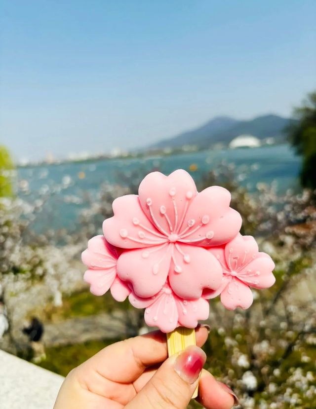 比鷄鳴寺櫻花更美的，是一牆之隔差點給王安石埋掉的玄武湖