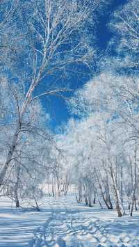 冬季 烏蘭布統草原，天空藍得純粹