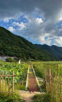 超出片的小眾旅遊地! 家人們不敢相信這是在陝西