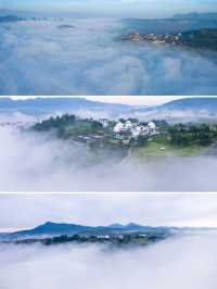 尧珈新開｜在紹興！懸崖之上，坐看茶園雲海