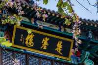 陽春三月，來夷陵遇見驚喜