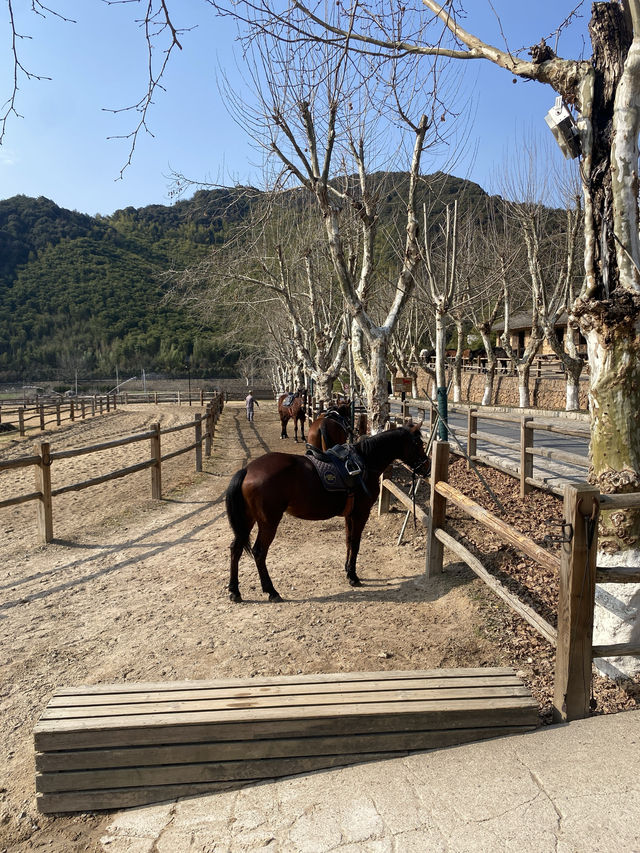 避開高峰期出行到莫干山可以省下好幾千元