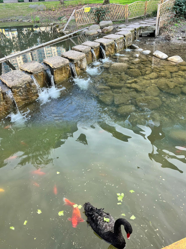 上海周邊，隨手拍｜徐匯版莫奈花園