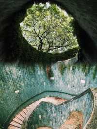 新加坡福康寧公園樹洞艱難打卡