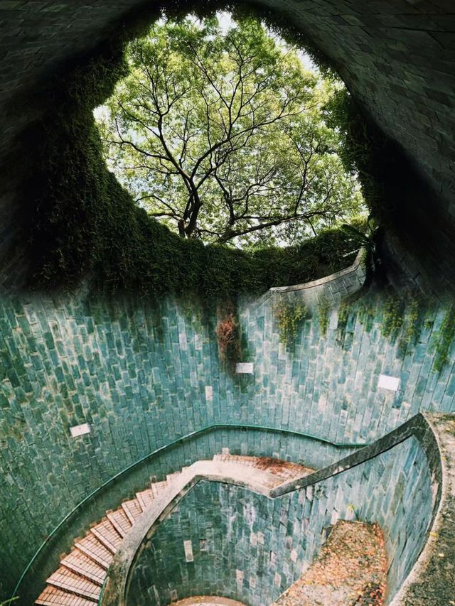 新加坡福康寧公園樹洞艱難打卡