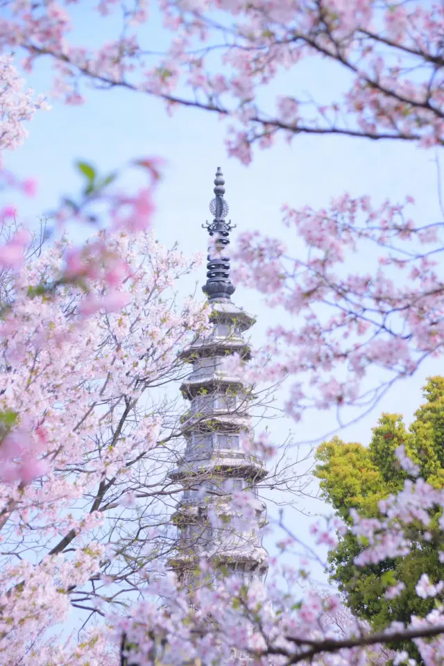 白塔公園遊玩全攻略