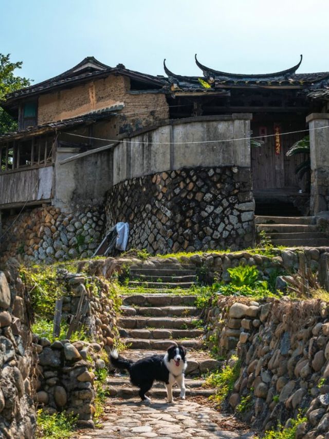 探索福州的隱秘古鎮——嵩口古鎮