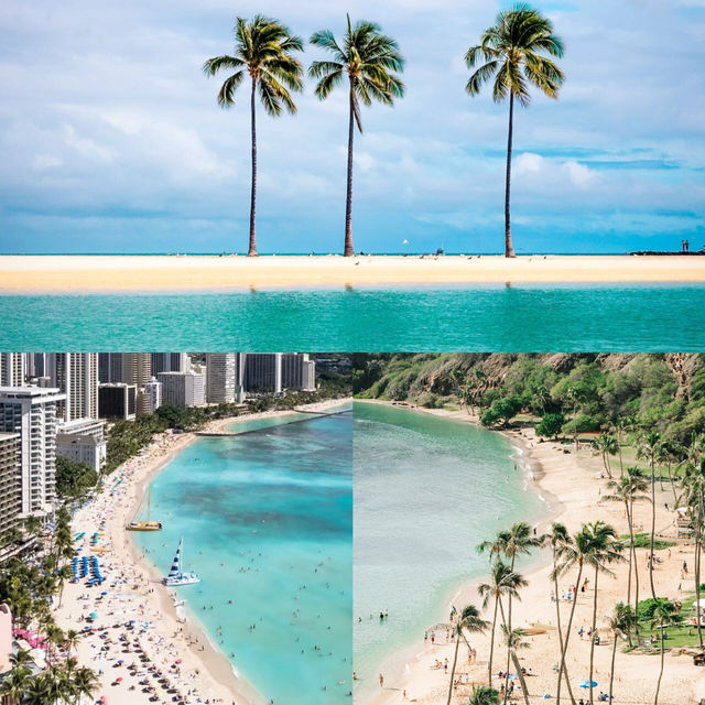 人生滄海桑田，夏威夷卻一如既往