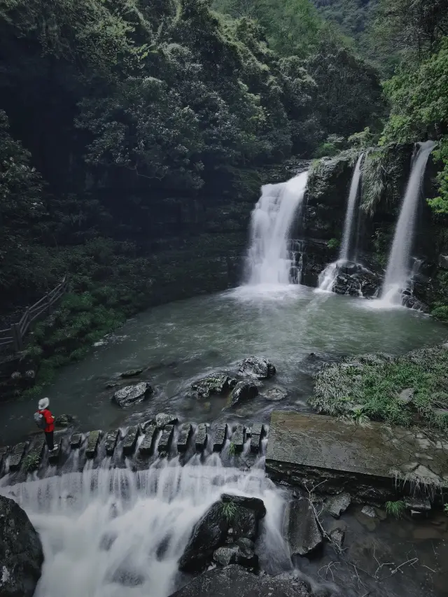 Traveler's Diary | The awe-inspiring 'Little Huangguoshu Waterfall' appears in the deep mountains of Ningbo during the rainy season