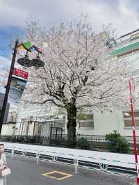 東京 我來啦